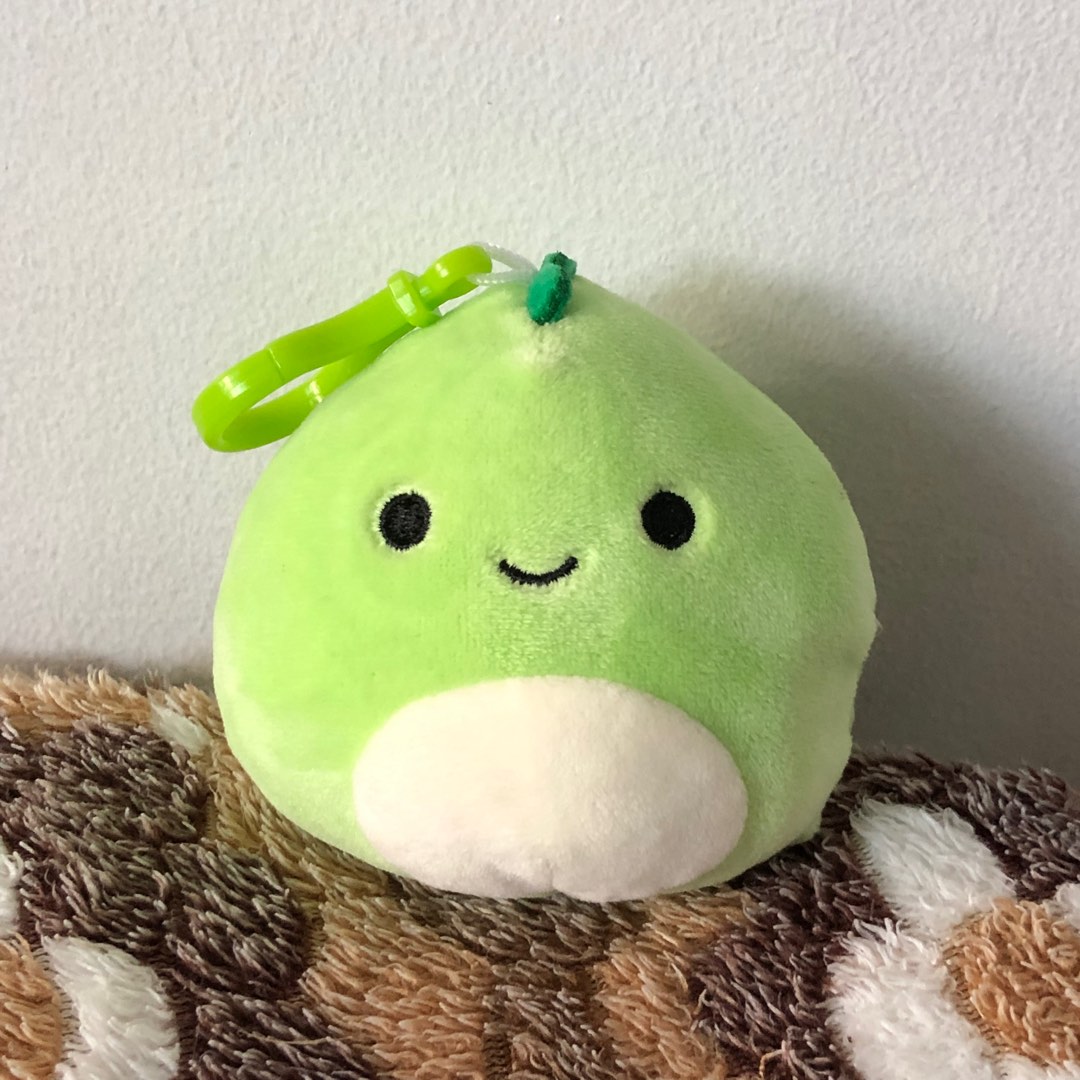 Danny the green dinosaur squishmallows keychain clip, Hobbies & Toys ...