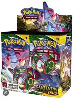 Evolving skies Booster case