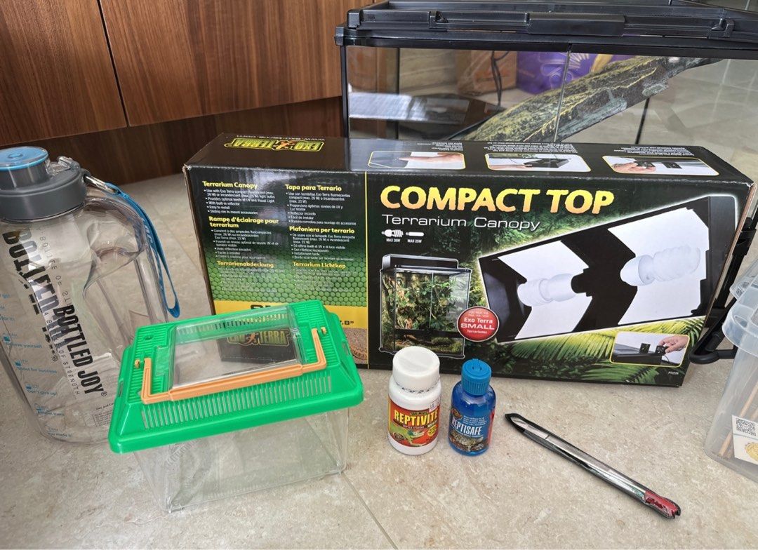 Exo Terra Small Low Glass Terrarium, Pet Supplies, Homes & Other Pet Accessories on Carousell