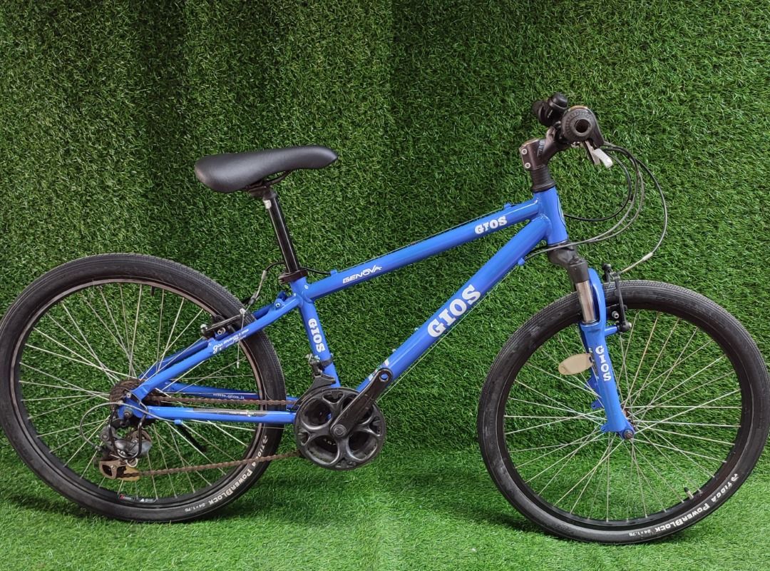 Gios best sale mountain bike