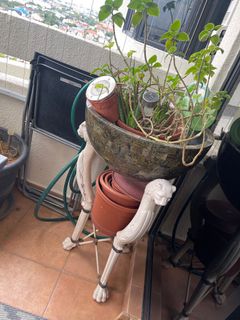 (Category: ) located in . Submitted by Chenelly (Listing ID 1208092155, Image 1). Description: .
