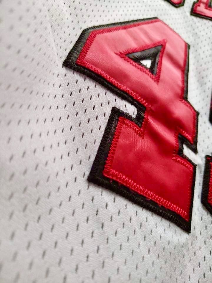 jordan 45 champion jersey