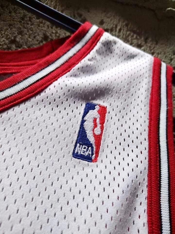 jordan 45 champion jersey