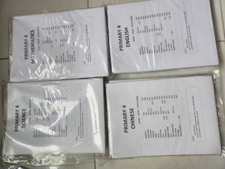 P4 Past Year Exam Papers