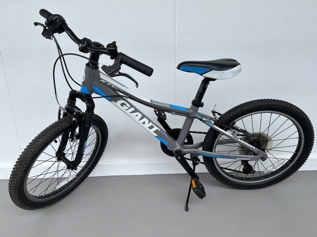 Selling a Authentic 20 Giant XTC Jr Mountain Bike