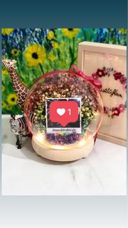 2023 Valentine’s day Preserved Baby Breath Flower LED Globe