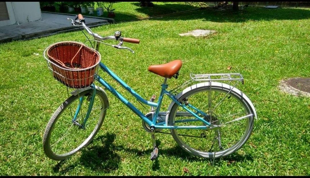 Universal cathy ladies shop bike
