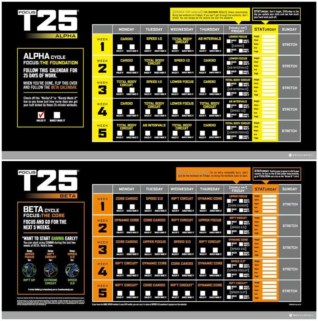 Focus T25 Shaun T S Dvd Workout Program