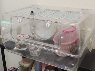（分類：）位於 。 由 simongurenn 提交（商品編號 1208428097，圖片 1）。簡介： 。