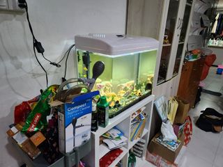 (Category: ) located in . Submitted by vimoservices (Listing ID 1208426256, Image 1). Description: .