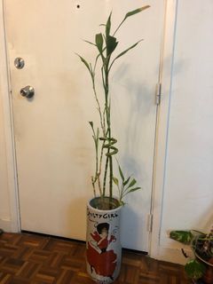 （分類：）位於 。 由 pratsid02 提交（商品編號 1208321494，圖片 1）。簡介： 。