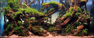 (Category: ) located in . Submitted by sadrushafie (Listing ID 1208462425, Image 1). Description: .