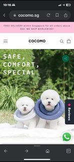 Cocomo Arrr Small Pet Recovery Collar Navy Blue