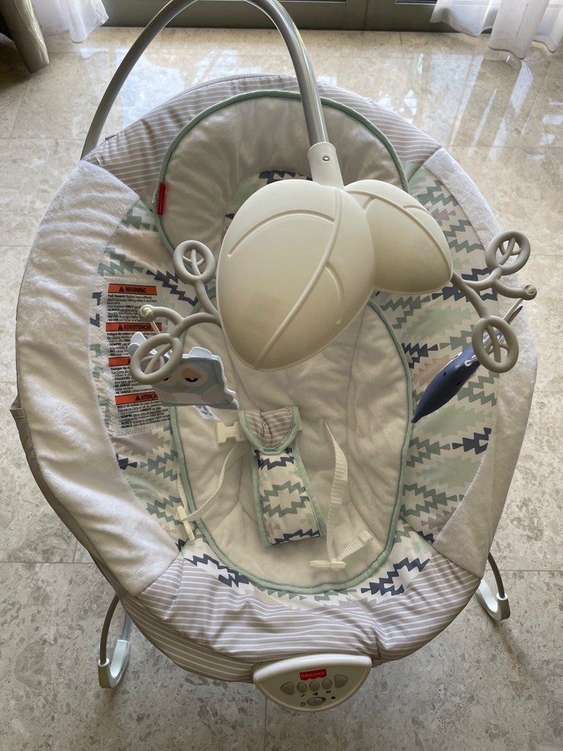 Fisherprice Deluxe Bouncer, Babies & Kids, Baby Nursery & Kids