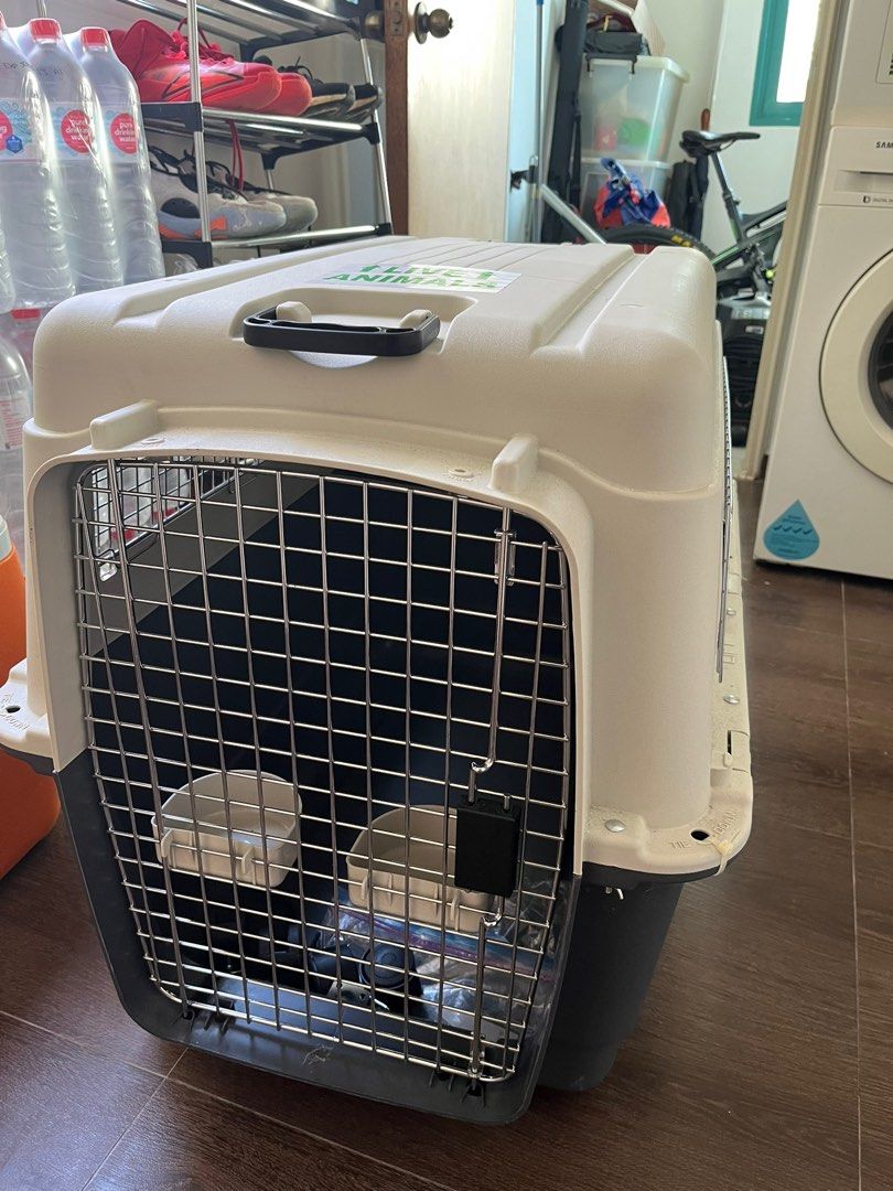IATA approved dog crate XL, Pet Supplies, Homes & Other Pet Accessories