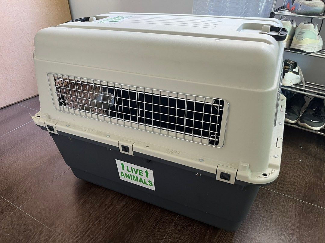 IATA approved dog crate XL, Pet Supplies, Homes & Other Pet Accessories