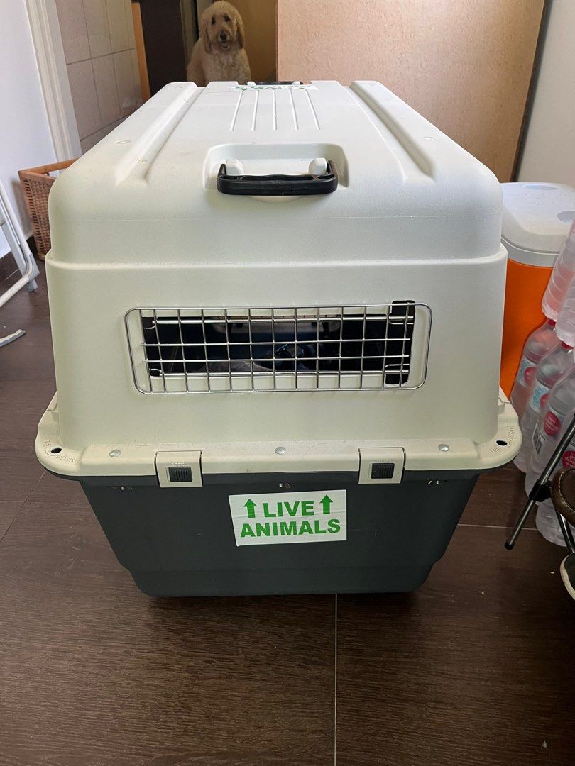 IATA approved dog crate XL, Pet Supplies, Homes & Other Pet Accessories