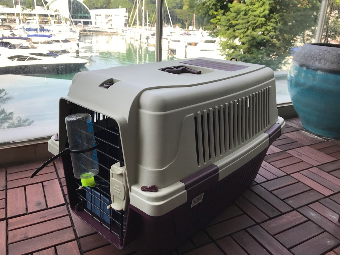 RESERVED IATA Approved Pet Carrier, Pet Supplies, Homes & Other Pet