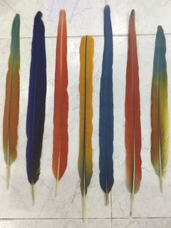 (Category: ) located in . Submitted by rarecollections (Listing ID 1208480965, Image 1). Description: .
