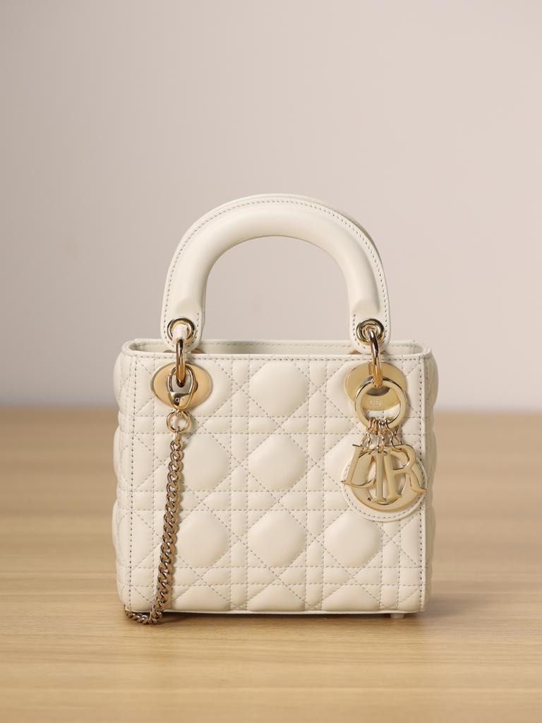 Mini Lady Dior Bag Barang Mewah Tas Dompet di Carousell