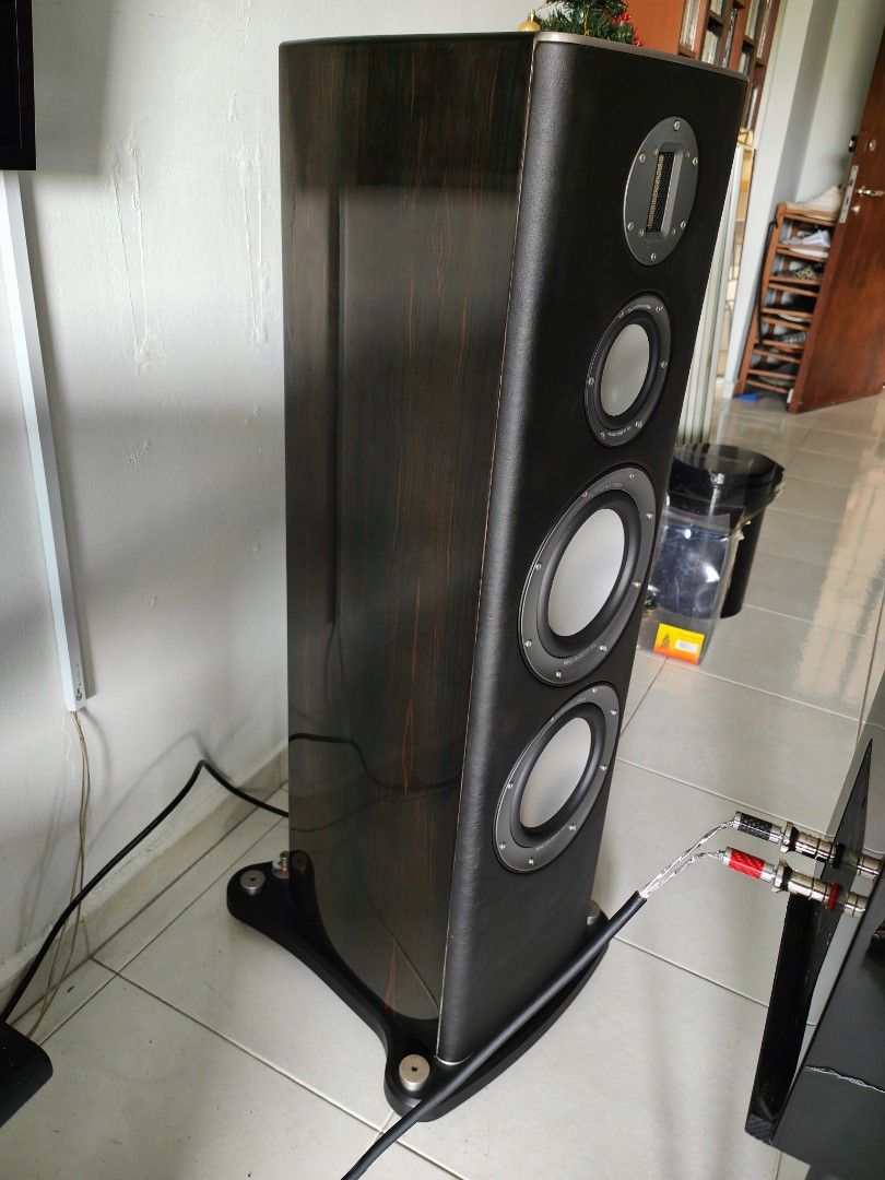 MONITOR AUDIO PLATINUM PL300 (Dark Ebony) Floorstanders, Audio