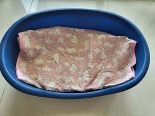 (Category: ) located in . Submitted by kl_ql (Listing ID 1208290684, Image 1). Description: .