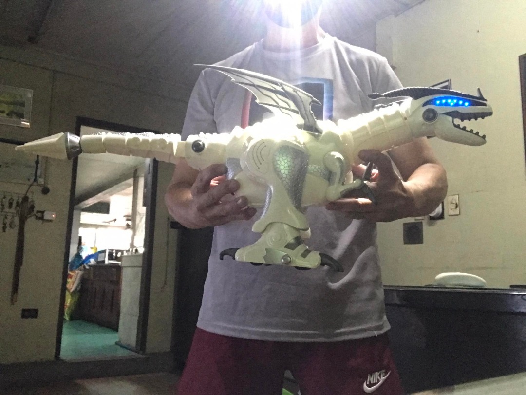 Remote Control Mega Rex Robot Dino, Hobbies & Toys, Toys & Games on