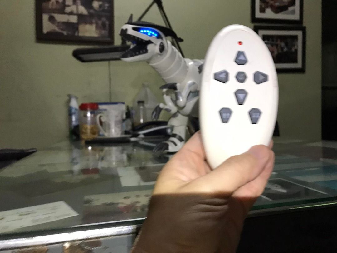 Remote Control Mega Rex Robot Dino, Hobbies & Toys, Toys & Games on