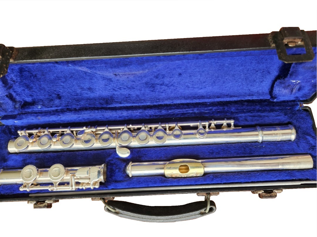 Selmer FL220 Flute, Hobbies & Toys, Music & Media, Musical Instruments