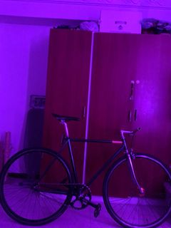 (Category: ) located in . Submitted by westieeee (Listing ID 1208418550, Image 1). Description: .