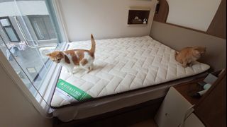 （分類：）位於 。 由 baglooo 提交（商品編號 1208497809，圖片 1）。簡介： 。