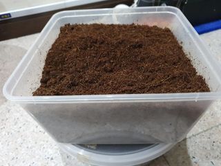 Coconut husk substrate for plants