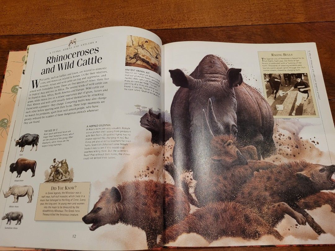 Dangerous Animals Hardcover 64 pages, Hobbies & Toys, Books & Magazines, Children's Books on Carousell Dangerous Animals Hardcover 64 pages, Hobbies & Toys, Books & Magazines, Children's Books on Carousell