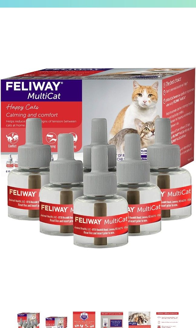 Feliway Multicat Friends Refill Feline Pet Supplies Health Grooming on Carousell