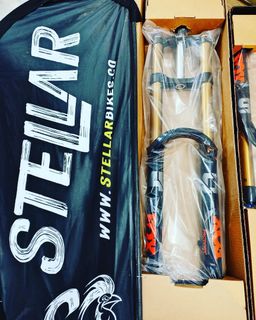 (Category: ) located in . Submitted by stellar_motoburner (Listing ID 1208569744, Image 1). Description: .