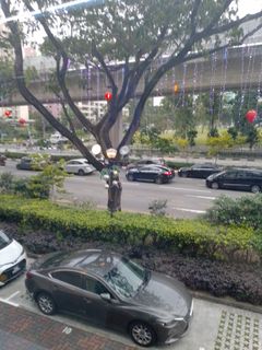 (Category: ) located in . Submitted by alibaba001 (Listing ID 1208590299, Image 1). Description: .