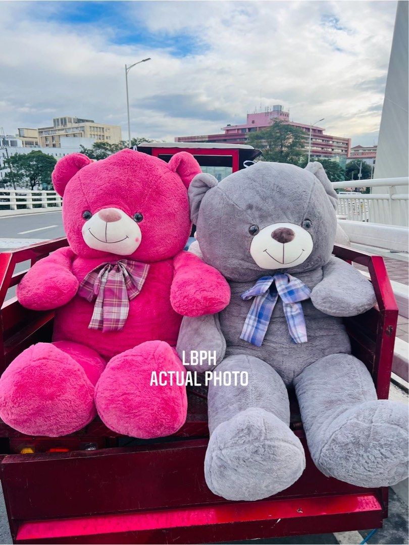 Teddy bear hypoallergenic deals