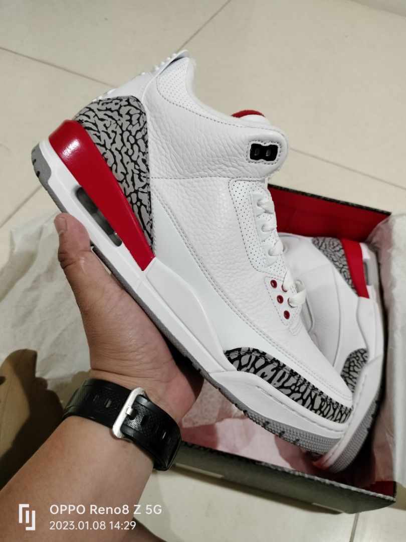jordan hall of fame 3s