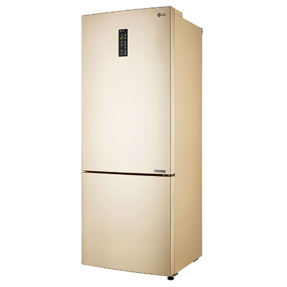 LG 445L (GBB4451GV) Gold Bottom Freezer 2Door Fridge, TV & Home