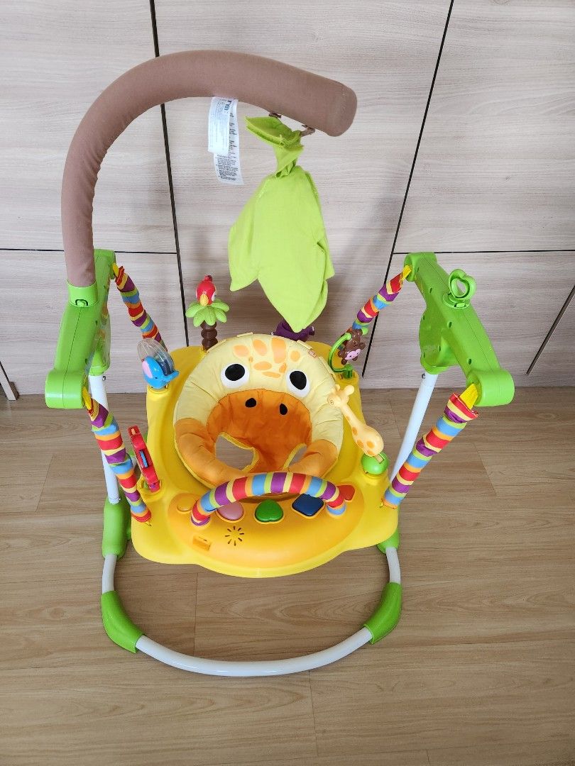 Giraffe bouncer 2025