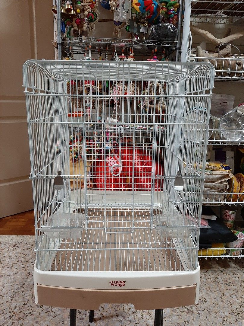 LIVING WORLD BIRD CAGE FOR SALE Pet Supplies Homes Other Pet Accessories on Carousell