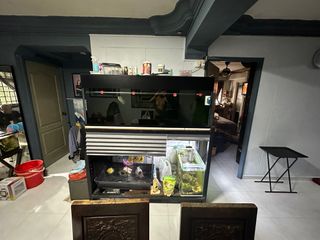 (Category: ) located in . Submitted by m.fifie (Listing ID 1257739107, Image 1). Description: .