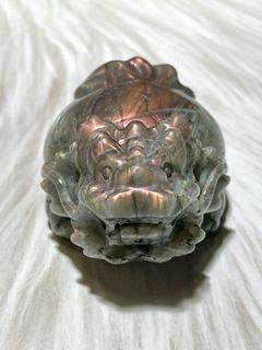 《全新》粉光拉長龍龜