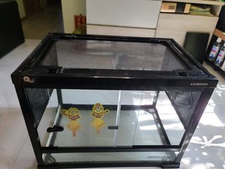 （分類：）位於 。 由 higoldfish 提交（商品編號 1257727247，圖片 1）。簡介： 。