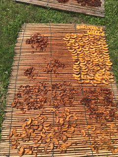 Asam Gelugur/Keping