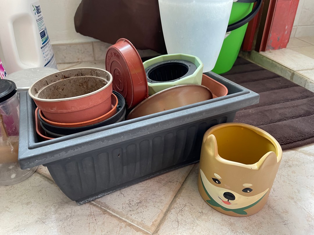 Free Pots, Furniture & Home Living, Gardening, Pots & Planters on Carousell