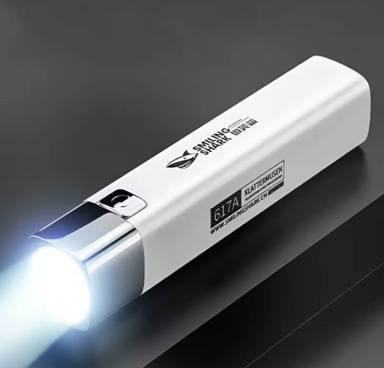 FREE Torchlight CUM powerbank 2in1, Mobile Phones & Gadgets, Mobile