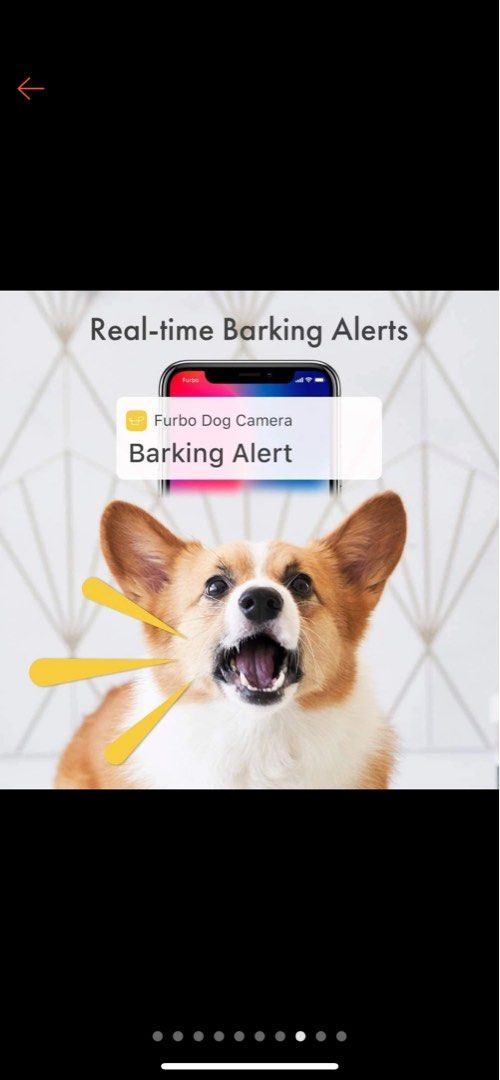 Furbo store bark alert