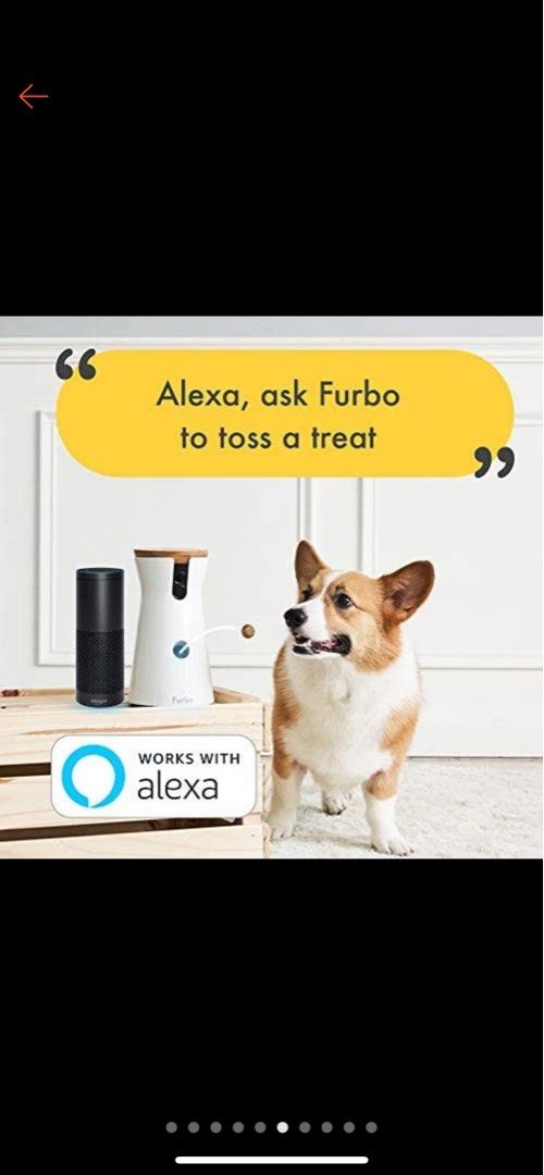 Alexa online and furbo