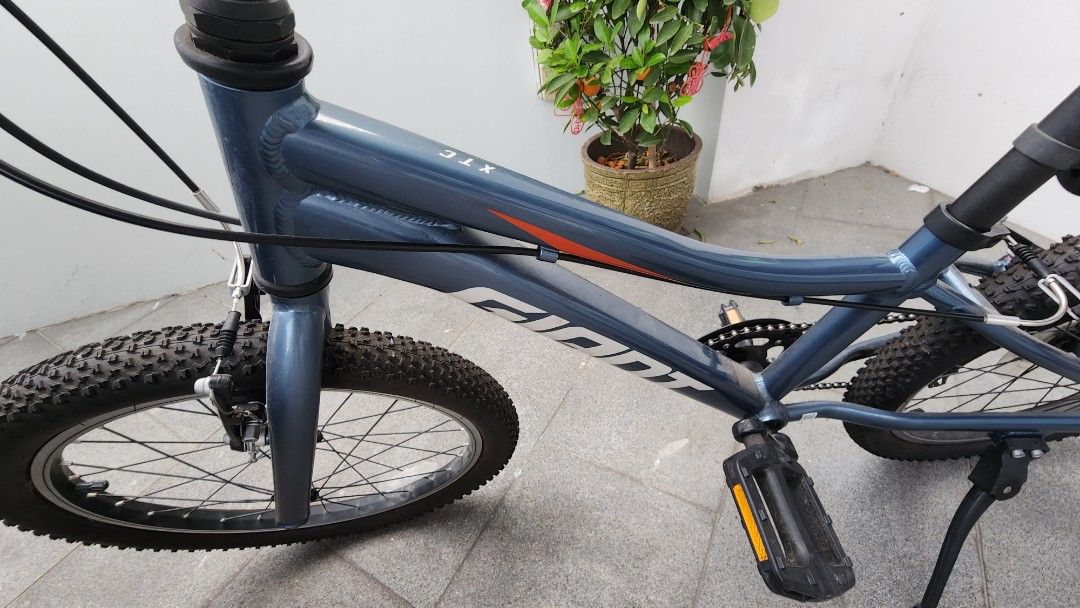 Giant xtc jr 20 online lite 2021